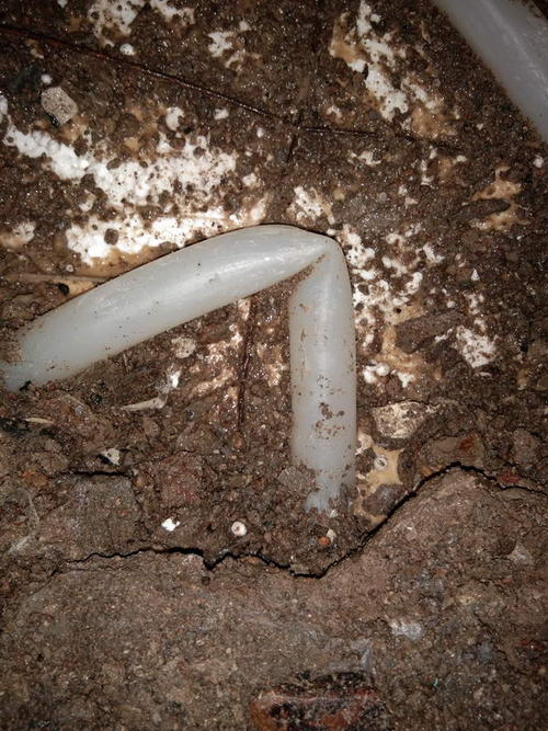 临泉堵点精准查找